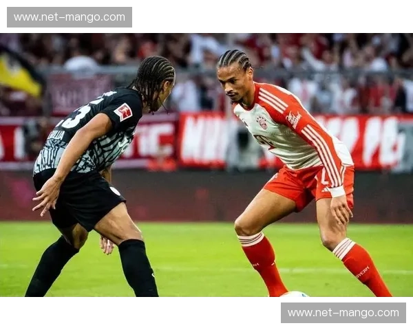 全面解锁德甲精彩瞬间：最佳德甲直播平台推荐